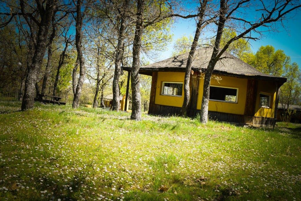 Entorno compamento La Escuela San Mames Madrid